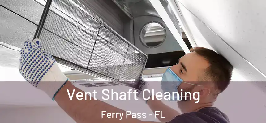 Vent Shaft Cleaning Ferry Pass - FL