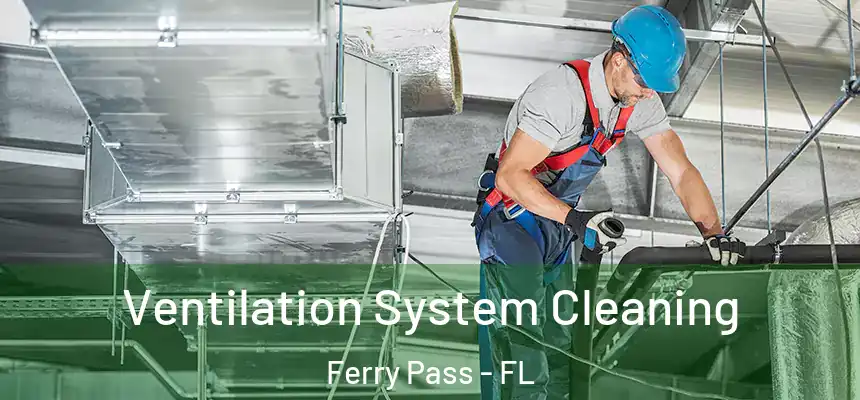 Ventilation System Cleaning Ferry Pass - FL